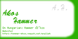 akos hammer business card